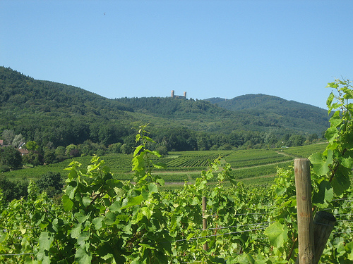 Château d'Andlau